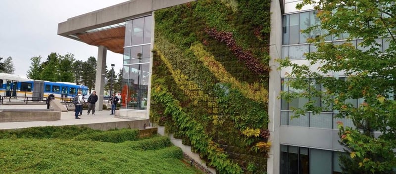 SIMON FRASER UNIVERSITY preview 2